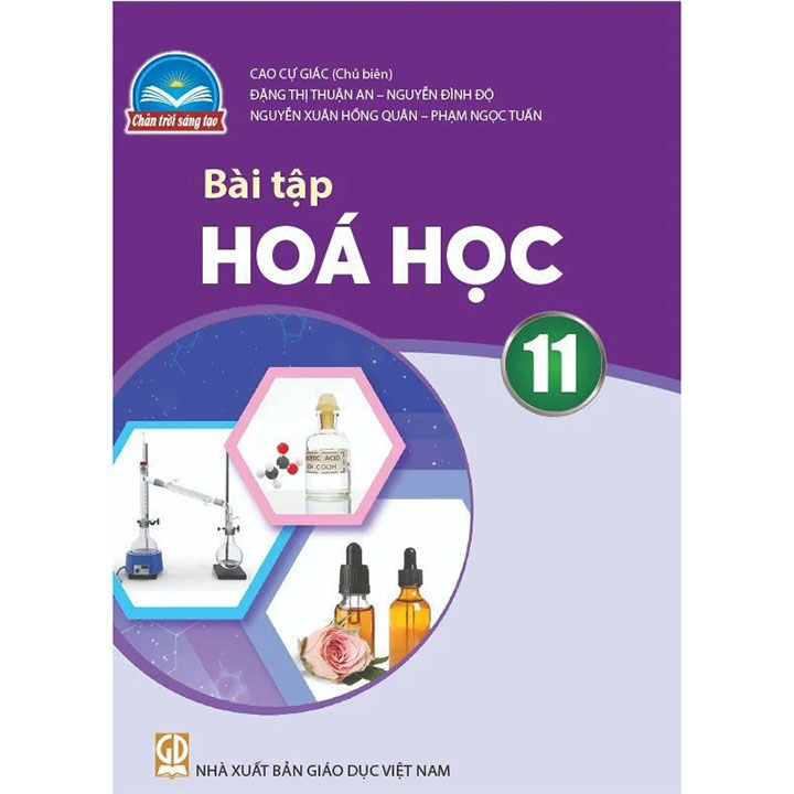 Sách giáo khoa (SGK) - Bài Tập Hóa Học Lớp Lớp 11 Chân trời sáng tạo