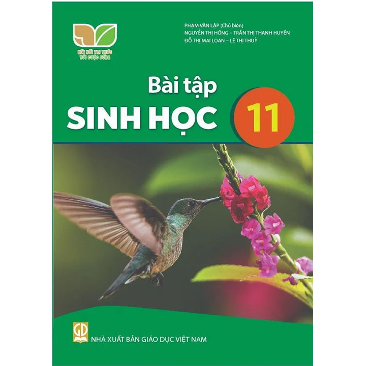 Sách giáo khoa (SGK) - Bài Tập Sinh Học Lớp Lớp 11 Kết nối tri thức