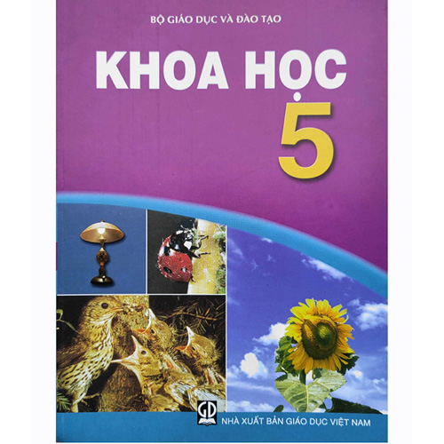 Sách giáo khoa (SGK) - Khoa Học Lớp 5 Kết nối tri thức với cuộc sống