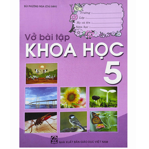 Sách giáo khoa (SGK) - Vở Bài Tập Khoa Học Lớp 5 Kết nối tri thức với cuộc sống