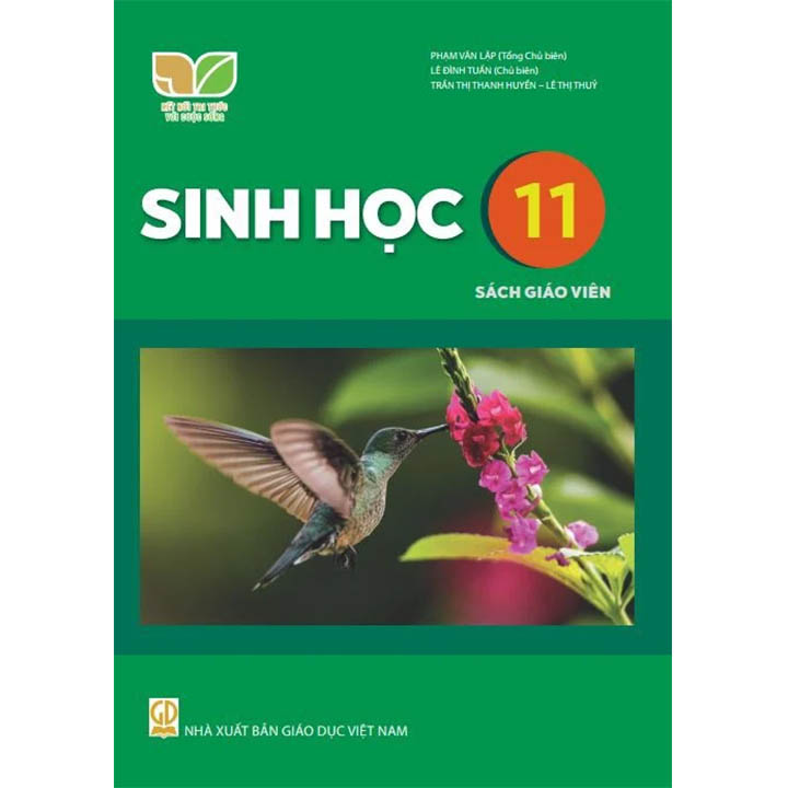 Sách giáo viên (SGV) - Sinh Học Lớp 11 Kết nối tri thức với cuộc sống