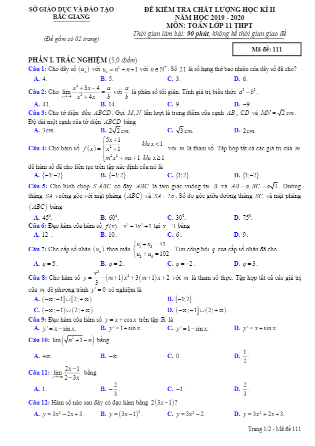 Đề thi học kì 2 (HK2) lớp 11 môn Toán THPT năm học 2019 2020 sở GD ĐT Bắc Giang