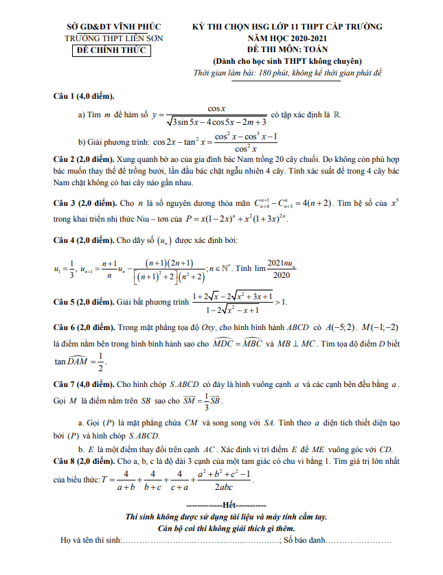 Đề thi HSG lớp 11 môn Toán cấp trường năm 2020 2021 trường Liễn Sơn Vĩnh Phúc