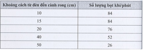 Thí nghiệm được bố trí như trong hình 20.1.  ● Đặt đèn cách ống nghiệm chứa cành rong đuôi chó 10 cm.  ● Đếm số bọt khí thoát ra từ cành rong đuôi chó trong 1 phút.  ● Lặp lại thí nghiệm này cho các khoảng cách khác nhau giữa đèn vào ống nghiệm chứa cành rong đuôi chó.  Kết quả thí nghiệm được ghi trong bảng dưới đây.