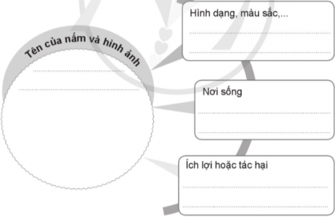  Hoàn thành “Bộ sưu tập nấm” đã học theo sơ đồ dưới đây.