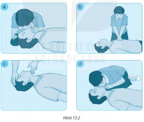  Quan sát Hình 13.2, sắp xếp trình tự và mô tả các bước sơ cứu nạn nhân tại chỗ.