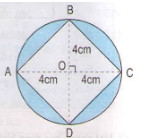  Ôn tập về tính chu vi, diện tích một số hình - sách giáo khoa (SGK) toán lớp 5 trang 166