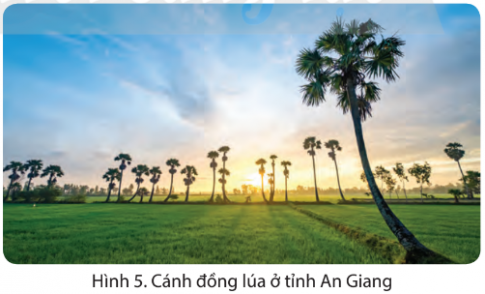  - Kể tên các tỉnh trồng lúa chính ở vùng Nam Bộ  - Nêu vai trò của hoạt động sản xuất lúa ở vùng Nam Bộ